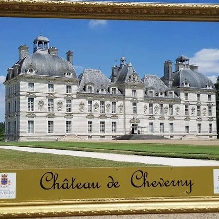 Les Capucines Proche Beauval & Chateaux 상테뇽 외부 사진